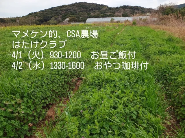 豆に暮らす野の暮らし研究所
